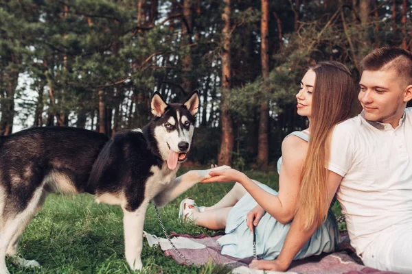 Casal Jovem Divertindo Com Seu Cão Haski Pôr Sol Fora — Fotografia de Stock