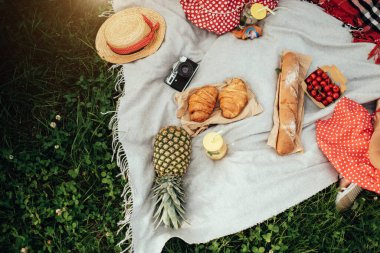 Piknik Konsepti, Baguette Kruvasanları, Ananas, Kiraz ve Kokteyl İçeceği Eski Film Kamerasıyla battaniyede