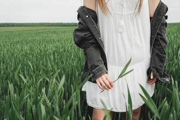Fiatal Stílusos Lány Fehér Ruha Denim Jacket Holding Spikelets Zöld — Stock Fotó