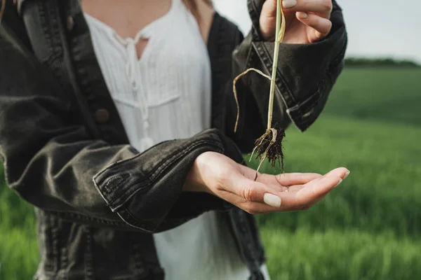 Tânăra Fată Elegantă Rochie Albă Denim Jacket Holding Stalk Green — Fotografie, imagine de stoc