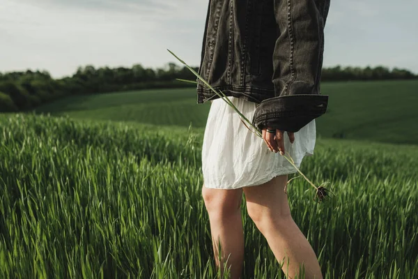 Fiatal Stílusos Lány Fehér Ruha Denim Jacket Holding Stalk Green — Stock Fotó