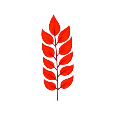 Renkli sonbahar ağacı yaprağı. Vektör çizimi.