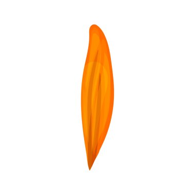 Renkli sonbahar ağacı yaprağı. Vektör çizimi.