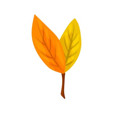 Renkli sonbahar ağacı yaprağı. Vektör çizimi.
