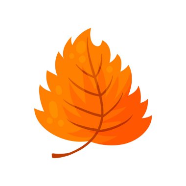 Renkli sonbahar ağacı yaprağı. Vektör çizimi.