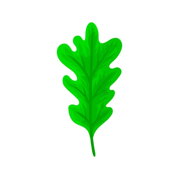 Färgglada höst träd blad. Vektor illustration. — Stock vektor