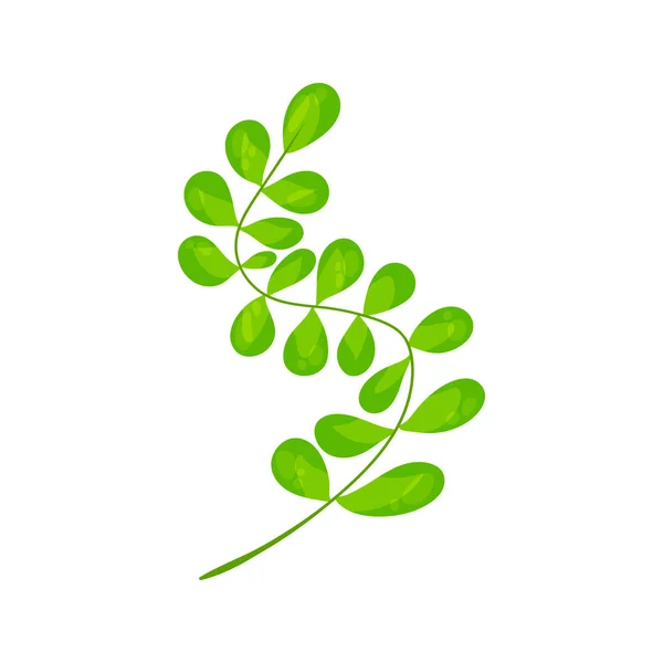 Färgglada höst träd blad. Vektor illustration. — Stock vektor