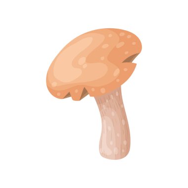 Renkli taze sonbahar vahşi orman mantarı. Karikatür düz tarzı siluetler simgeleri. Büyük sonbahar tasarım konsept elemanları. Vektör çizimi.