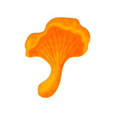 Renkli taze sonbahar vahşi orman mantarı. Karikatür düz tarzı siluetler simgeleri. Büyük sonbahar tasarım konsept elemanları. Vektör çizimi.