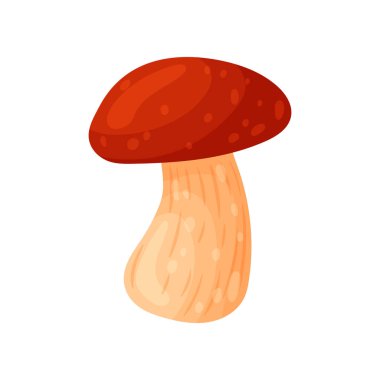 Renkli taze sonbahar vahşi orman mantarı. Karikatür düz tarzı siluetler simgeleri. Büyük sonbahar tasarım konsept elemanları. Vektör çizimi.