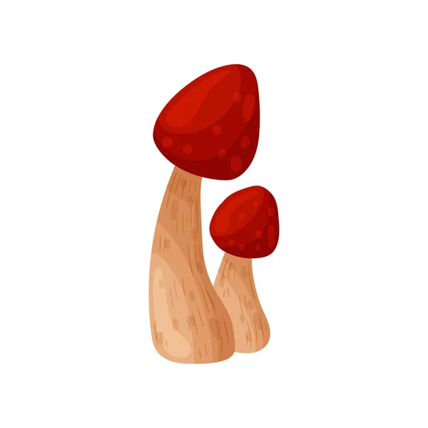 Champignon frais coloré de forêt sauvage d'automne. Icônes de silhouettes de dessins animés de style plat. Grands éléments de conception d'automne. Illustration vectorielle . — Image vectorielle