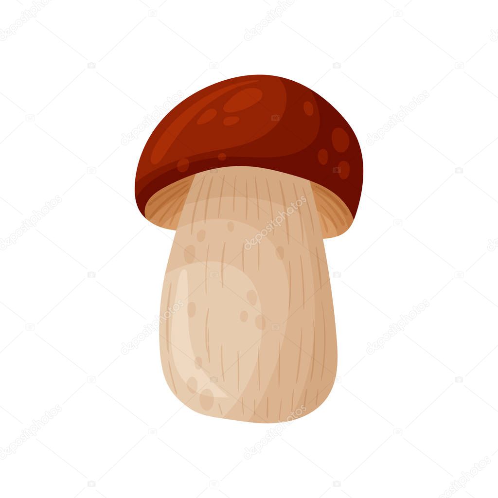 Colorful fresh autumn wild forest mushroom. Cartoon flat style silhouettes icons. Great autumn design concept elements. Vector illustration.