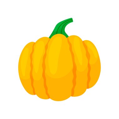 Şükran Günü renkli kabakları. Karikatür ve düz tarzı. Beyaz arka planda vektör çizimi.