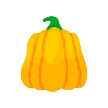 Şükran Günü renkli kabakları. Karikatür ve düz tarzı. Beyaz arka planda vektör çizimi.