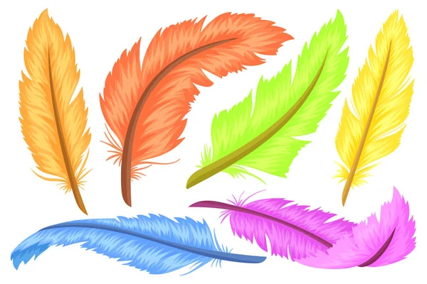Ensemble de plumes colorées, différentes formes et couleurs. Caricature et style plat. Illustration vectorielle sur fond blanc . — Image vectorielle