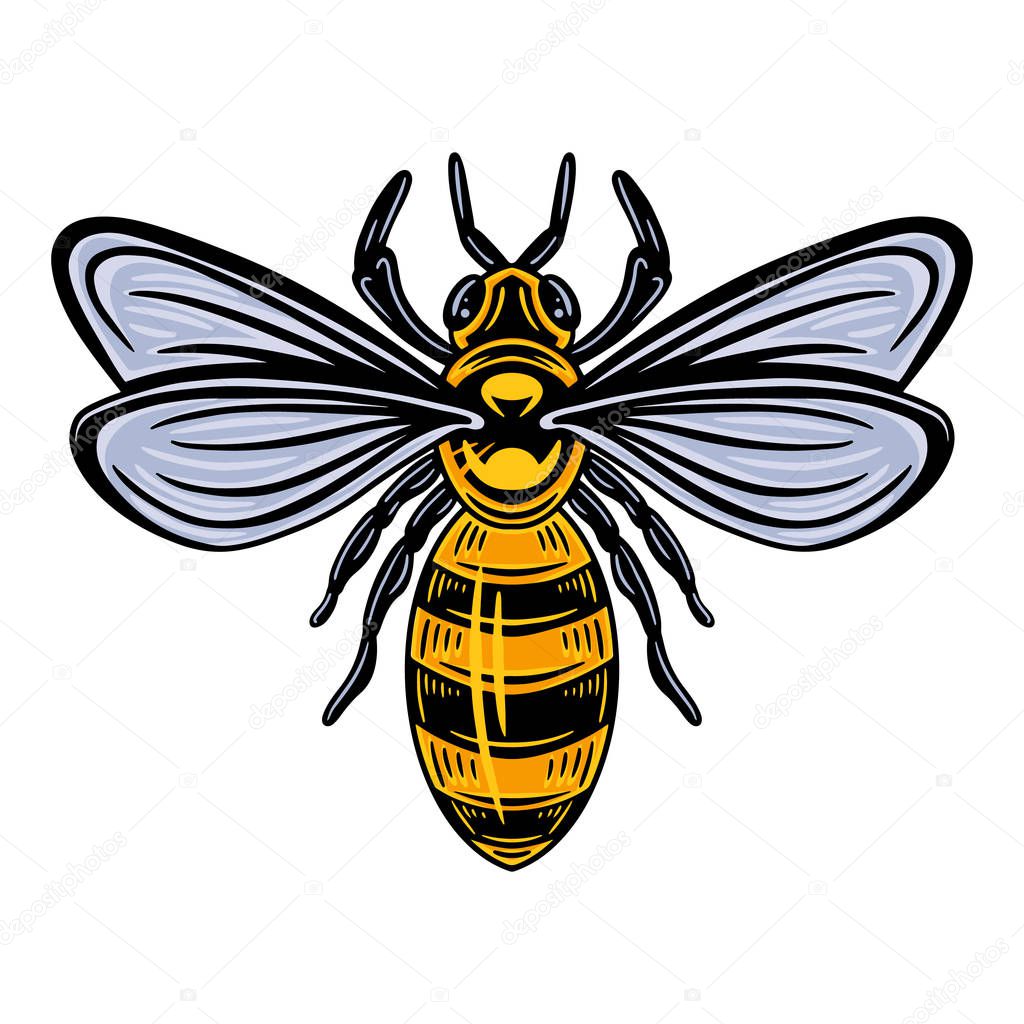 Bee. Vintage style Isolated on a white background. Design element for logo, badge, tattoo, t-shirt, banner, poster.