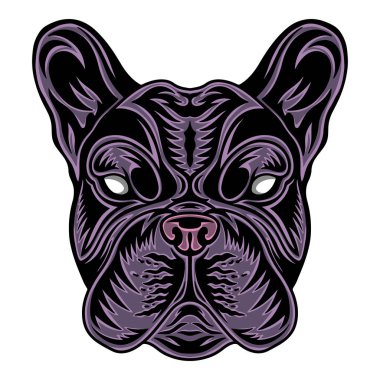 Klasik köpek Fransız bulldog suratı. Beyaz arkaplanda izole edilmiş klasik başlık biçimi.
