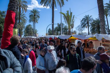 Palma de Mallorca, Balear Adaları. İspanya. Mart 01, 2024. Festivalin 1 Mart 'ı Balear Adalarında.