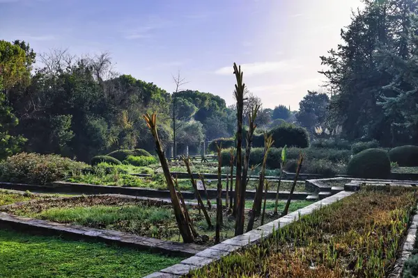 Parkın güzel manzarası