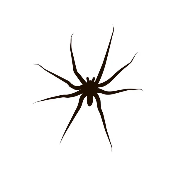 Araignée Noire Silhouette Icône Araignée Isolée Modèle Logo Spider Symbole — Image vectorielle