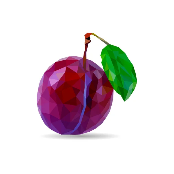 Значок Вектора Плодов Листьев Сливы Реалистичный Вектор Спелого Фиолетового Низкая — стоковый вектор