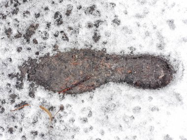 Bahar tezcan, karda iz