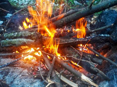 kül ateşten, doğa