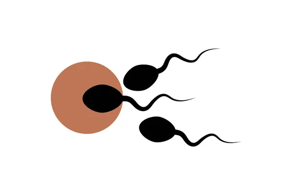 Sperma Bemezing Eicel Voor Zwangerschap Witte Achtergrond — Stockvector