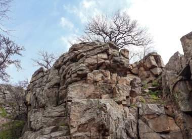 mavi gökyüzü arka plan üzerinde ağaç ile kaya