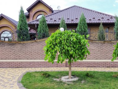 Yeşil çimenlerin içinde taş yol. Peyzaj parkından geç. Yol boyunca ağaç.