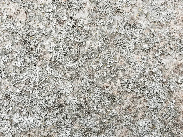 Фон Гипса Текстура Цементной Стены — стоковое фото