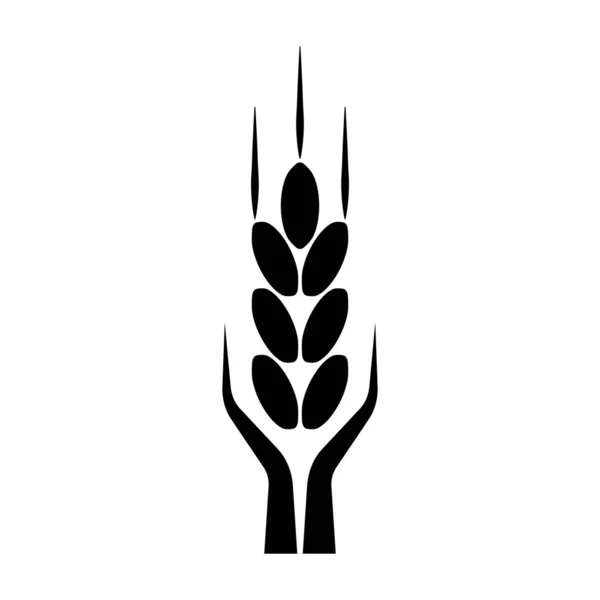 Espiga Trigo Silueta Planta Grano Logo Trigo Plantilla Vector Icono — Archivo Imágenes Vectoriales