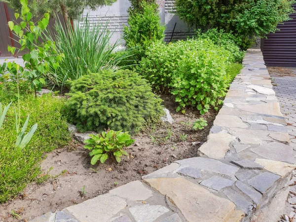 Gras Bedeckt Die Wand Steinmauer Mit Agave Und Efeu Für — Stockfoto