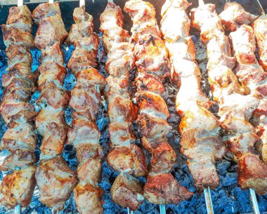 Mangalda domuz biftekleri. Taşınabilir Barbekü üzerinde et ve kebaplar bir yelpazede ızgara.