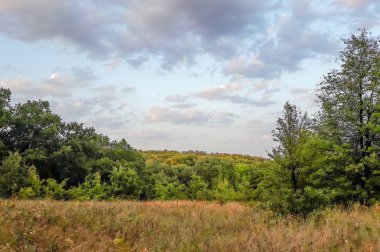 Masaüstü duvar kağıtları. Bulutlarla dolu mavi gökyüzü. Masaüstü web için bulutlar ile arka plan. Çim, ağaç ile yaz afiş için Peyzaj arka plan.