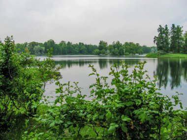 Nehir manzarası. Masaüstü web için arka plan. Yaz afişi için peyzaj arka plan. 