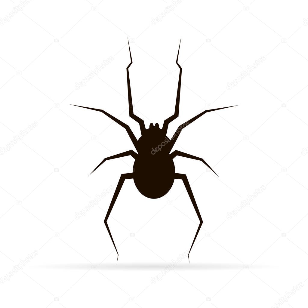 Black silhouette spider. Spider icon, Isolated. Spider logo template. Halloween symbol. Black tattoo design.