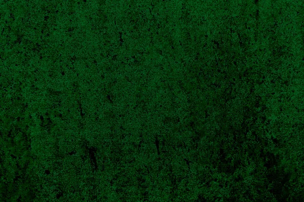 yeşil doku, arka planlar için Venedik alçı, dekoratif nebulalar 