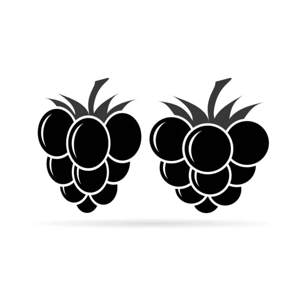 Ícone Framboesas Berry Pronto Coleção Frutas Framboesas Fundo Branco Amora —  Vetores de Stock