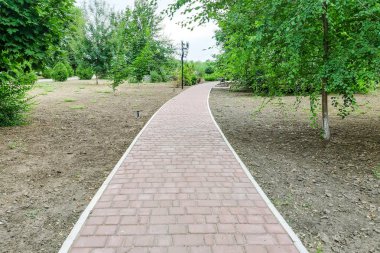 Taş yol. Peyzaj parkından geç. Huş ağacı ve yol boyunca iğneler.