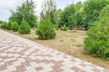 Taş yol. Peyzaj parkından geç. Huş ağacı ve yol boyunca iğneler.