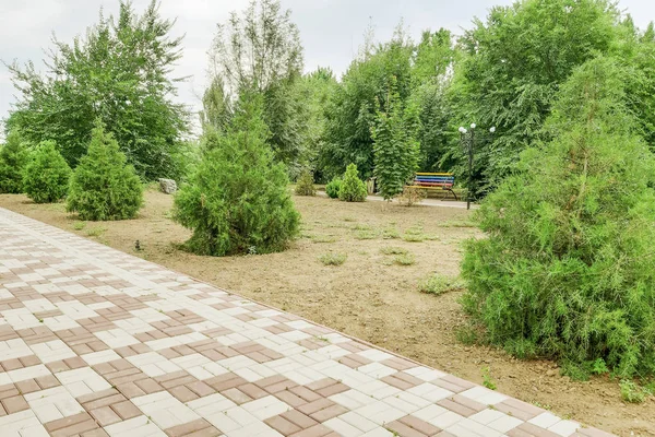 Percorso Pietra Percorso Attraverso Parco Paesaggistico Betulla Aghi Lungo Sentiero — Foto Stock