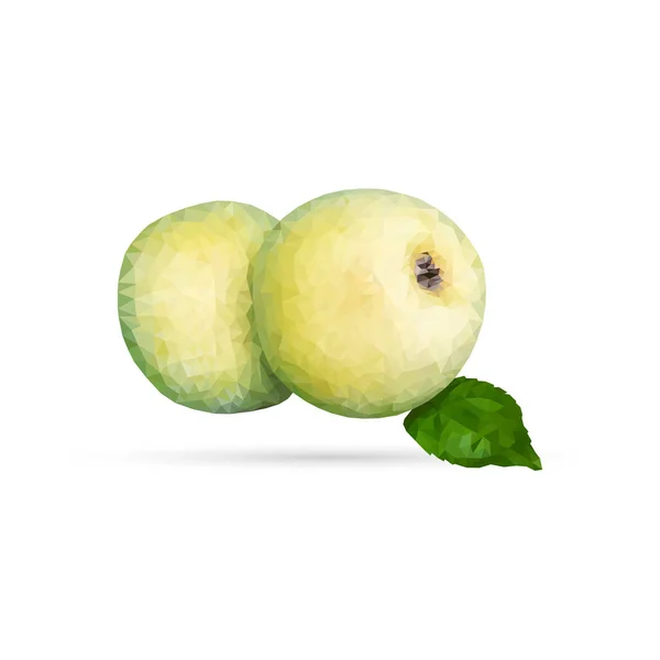 Vektorgrüner Apfel Low Poly Dreiecksstil — Stockvektor