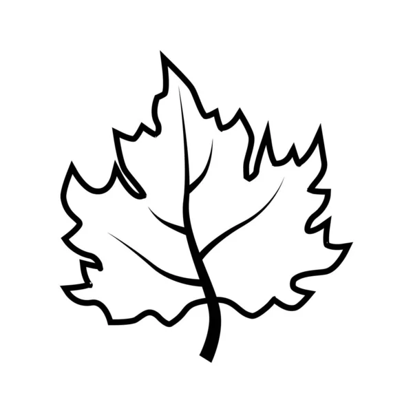 Кленовый Лист Значок Вектора Иллюстрация Листьев Символ Канады — стоковый вектор