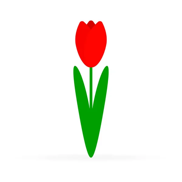 Tulipán Rojo Ilustración Vectorial — Vector de stock