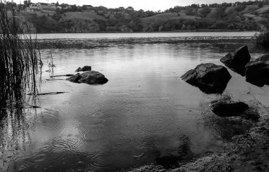 Yağmurun düşmesinin arka planı. Yağmur siyah gölge mezunu gölge ile bir nehir su yüzeyinde düşer. Nehir üzerinde yaz yağmuru, kıyılarla çevrili.