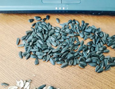 Bilgisayara yakın ahşap arka planda ayçiçeği tohumu.