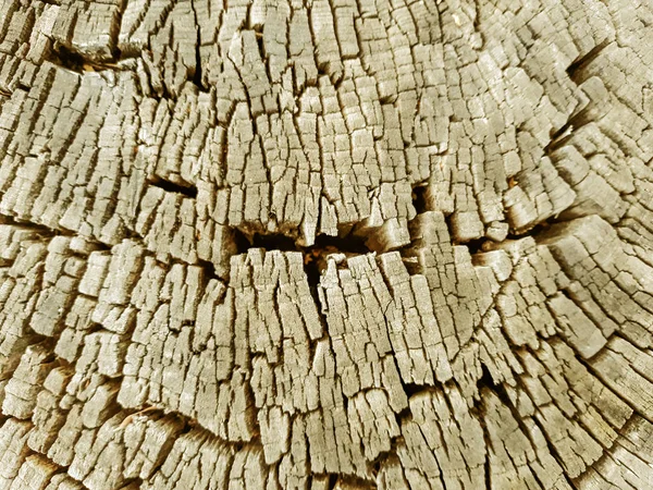 Vecchio Legno Texture Astratta Struttura Legno Sfondo Legno — Foto Stock