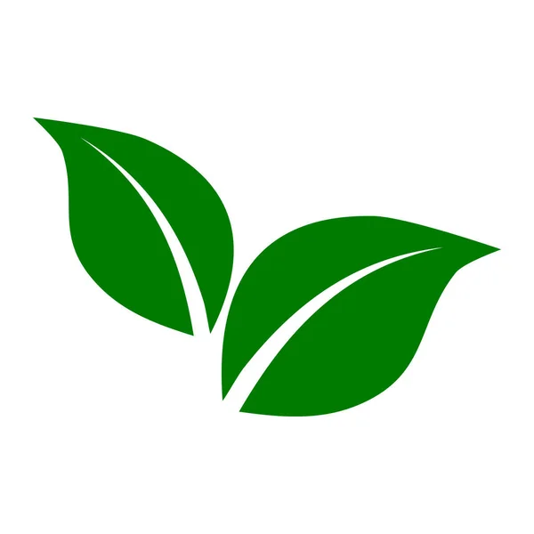 Yeşil yapraklar ayarlandı. Logo şablonu. Yaprak simgesi. Eko ve biyo logolar için öğeler. Ekoloji doğa unsuru. Vektör çizimi.