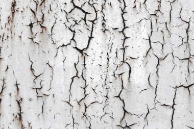 Paslı metal, gri arka plan. Tasarım için eski doku.